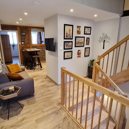 Appartement duplex climatisé avec terrasse HANSI Colmar Esterno foto