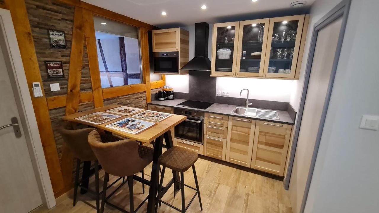 Appartement duplex climatisé avec terrasse HANSI Colmar Esterno foto