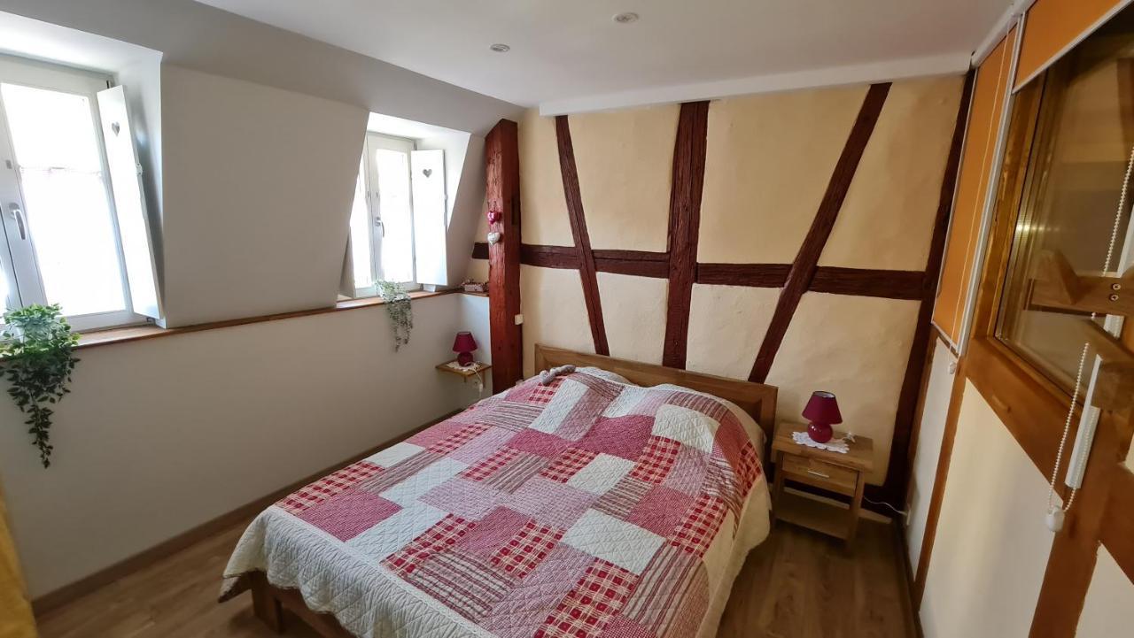 Appartement duplex climatisé avec terrasse HANSI Colmar Esterno foto