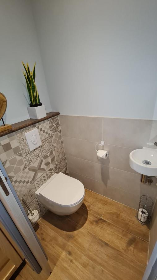 Appartement duplex climatisé avec terrasse HANSI Colmar Esterno foto