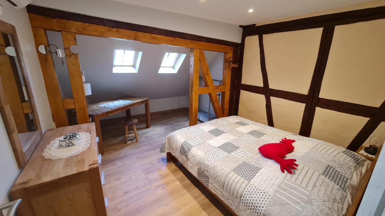 Appartement duplex climatisé avec terrasse HANSI Colmar Esterno foto